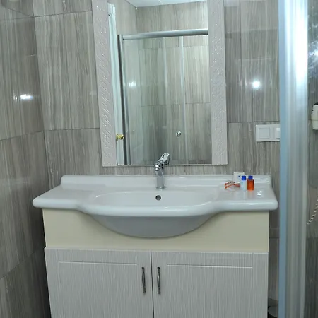 فندق Lion أنقرة