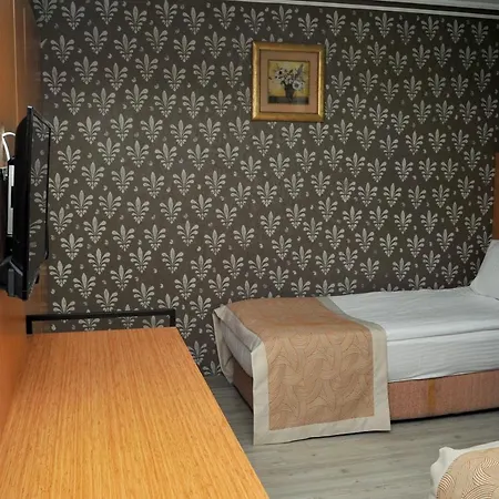 Hotel Lion 3*