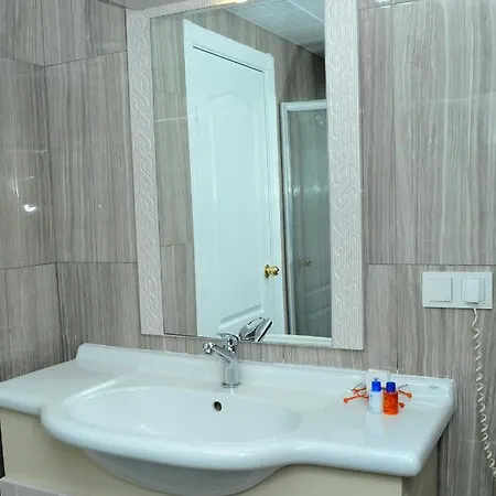 Lion فندق أنقرة