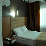 Lion 3*