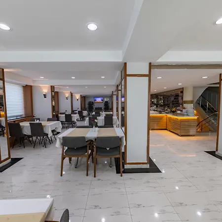 Hotel Lion