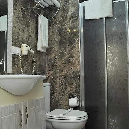 Hotel Lion 3*