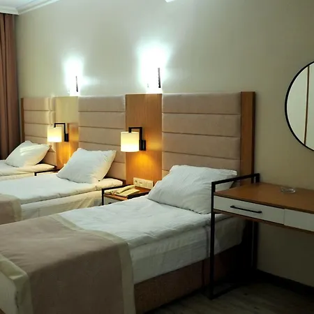 Lion Hotel 3*