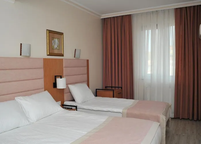 Hotel Lion Ancara