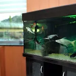 Lion ホテル 3*