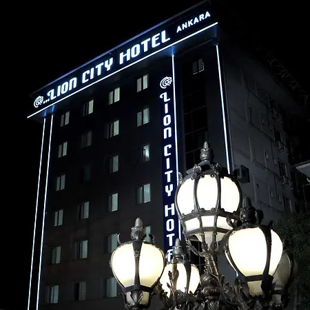 Hotel Lion 3*