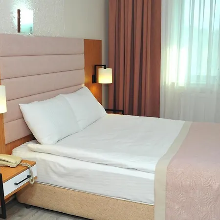 Hotel Lion 3*