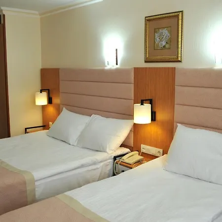 Hotel Lion